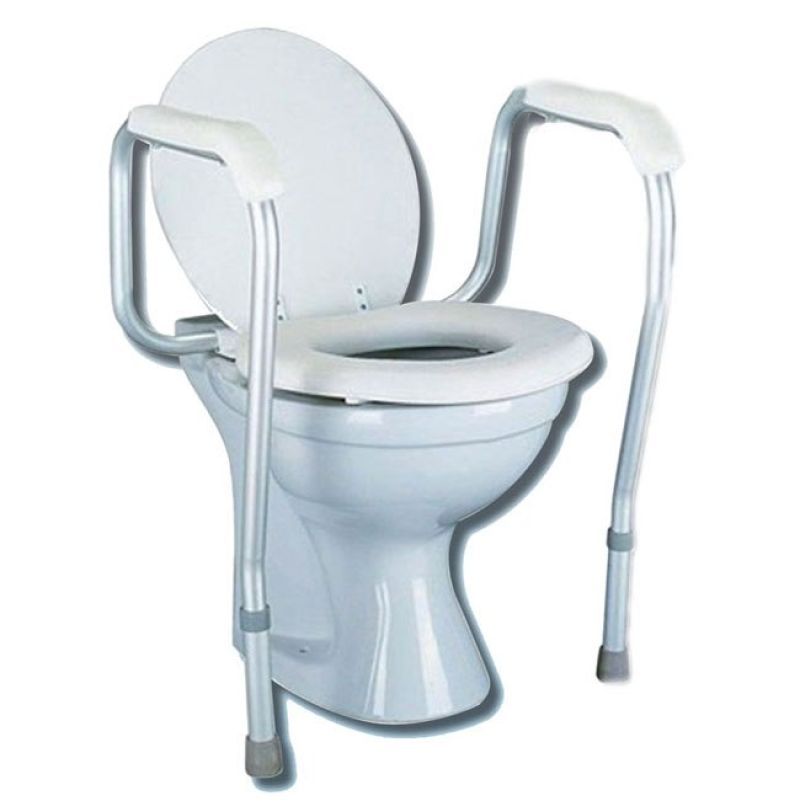 Rental Toilet Vera Frame in Ottawa